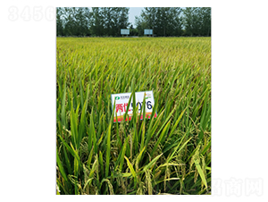 �Ƀ�(y��u)5076-ˮ���N��-�S���N�I(y��)