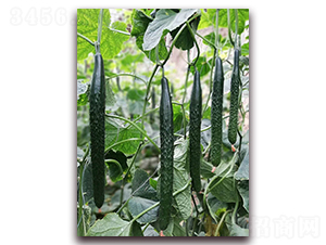 Ǭ��1702-�S�ϷN��-Ǭ�·N�I(y��)