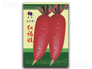 �t����-�}���N��-Ǭ���N�I(y��)