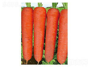 �t����}��-���}���N��-����