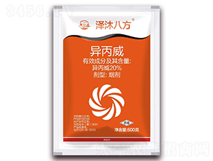 20%����������-����˷�-���A����