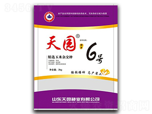 ��@6̖(h��o)-���׷N��-��@�N�I(y��)