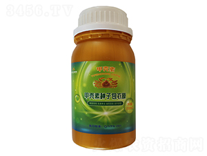 �ך��طN�Ӱ���Ĥ-���S�r(n��ng)