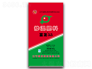 55%�������28-15-12-����55-���ѷʘI(y��)