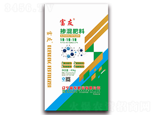 �������19-19-19-���ѷʘI(y��)