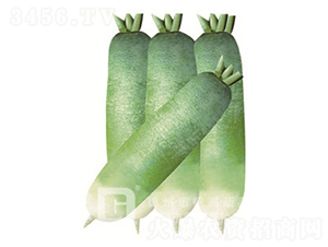 �¸���-ˮ���}���N��-�¸�