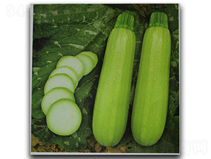 ����S2-�����J�N��