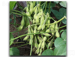 �F��72-ë���N��-ï�A�N�I(y��)