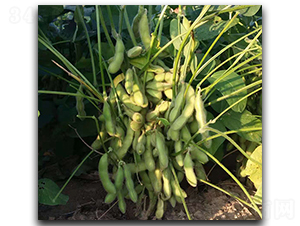 �|�rһ̖-ë���N��-ï�A�N�I(y��)