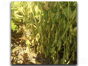 ����1̖-ë���N��-ï�A�N�I(y��)