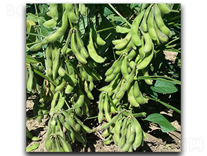 ���x88-ë���N��-ï�A�N�I(y��)