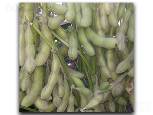 ����95-1-ë���N��-ï�A�N�I(y��)