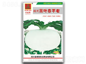 ��ҹ�������}��-�}���N��-���d�N�I(y��)