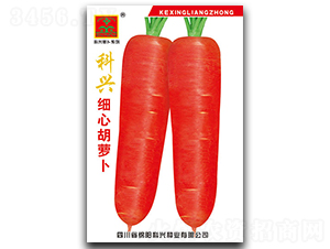 ���d��(x��)�ĺ��}��-�}���N��-���d�N�I(y��)