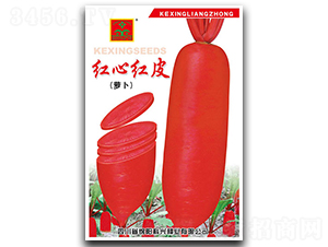 �t�ļtƤ-�}���N��-���d�N�I(y��)