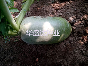 �G��1̖ˮ���}��-�}���N��-�Aʢ�_(d��)