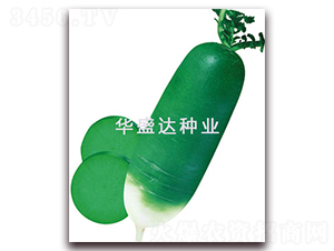 ���u�����}��-�}���N��-�Aʢ�_(d��)