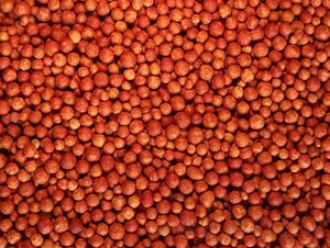 ȫ�I�B(y��ng)�ۺ����Ĥ��ጷ�-�����Ƽ�