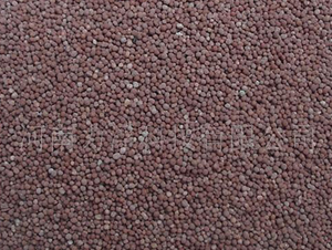 ȫ�I�B(y��ng)��ȩ��ጷ�-�����Ƽ�