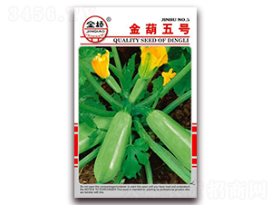 �����̖(h��o)-�����J�N��-���N�I(y��)