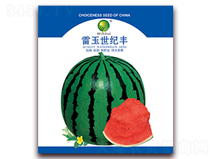 �������o(j��)�S-���ϷN��-����N�I(y��)