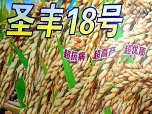 ʥ�S18̖(h��o)-ˮ���N��-���ƷN�I(y��)