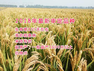 ����219-ˮ���N��-���ƷN�I(y��)