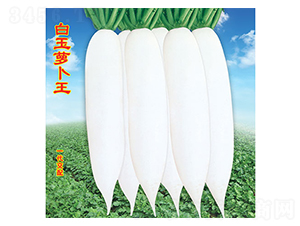 �����}����-�}���N��-�f�r(n��ng)�߿�