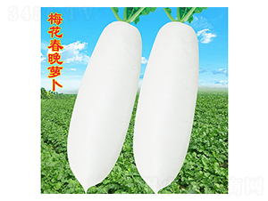 ÷�������}��-�}���N��-�f�r(n��ng)�߿�