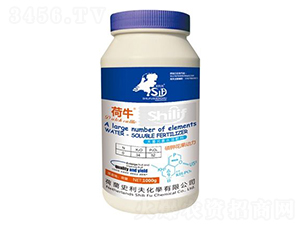 ����Ԫ��ˮ�ܷ���-��⛻�������-ʷ����