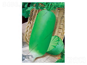 �G�䃺-�}���N��-ˮ���I