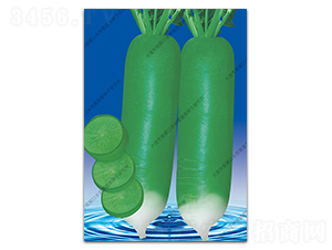 �OƷ�G-�}���N��-ˮ���I