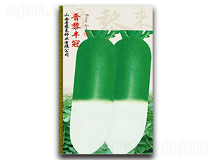 �x���S��-�}���N��-�x���