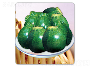 ����-�����J�N��-�x���