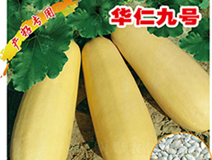 �A�ʾ�̖(h��o)-�����J�N��-�x���