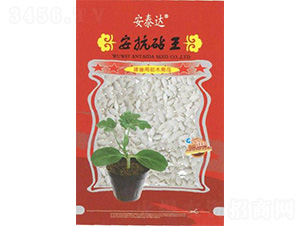 ��������-�ϹϷN��-��̩�_