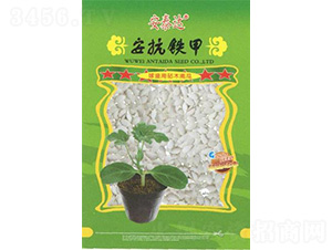 �����F��-�Ϲ���ľ-��̩�_