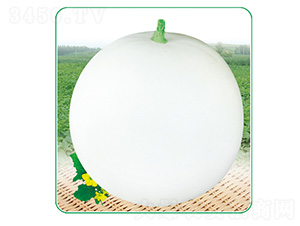 ����2̖-��ϷN��-��̩�_(d��)