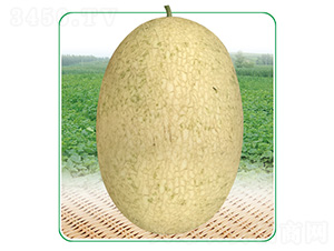 ��̩��4̖-��ϷN��-��̩�_(d��)