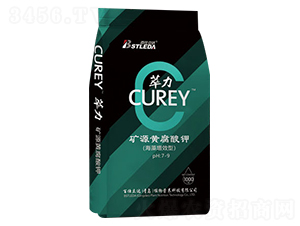 �VԴ�S�����-����-�������_(d��)