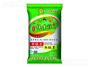 ������ˮ��-������