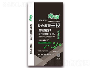 ���Ͼ������@�������-������