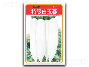 �ؼ�����-�}���N��-����N�I(y��)