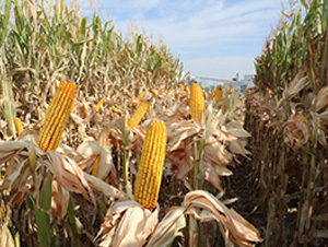 ��ʥ��2468-���׷N��-��ʥ�̷N�I(y��)