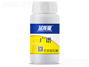 �V�V���~���-�{���� 