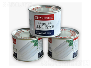 �ձ���ѩ����-���}���N��-����