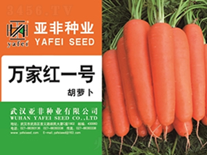 �f�Ҽtһ̖(h��o)-���}���N��-����