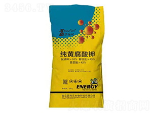 ���S�����-�K�՝�(r��n)-�@��Ԫ