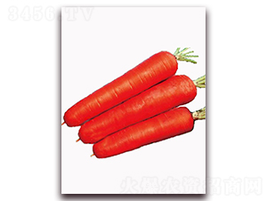 �|���t-���}���N��-�|������