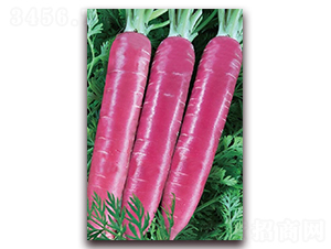 �ϼt��171-���}���N��-�|������